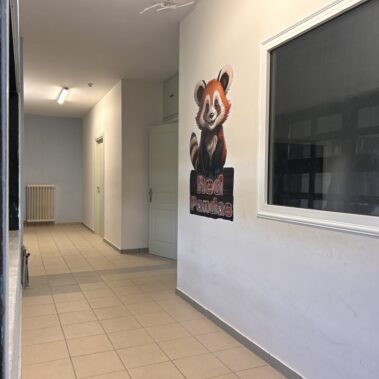 ΑΙΘΟΥΣΕΣ ΚΑΙ ΕΣΩΤ. ΧΩΡΟΙ